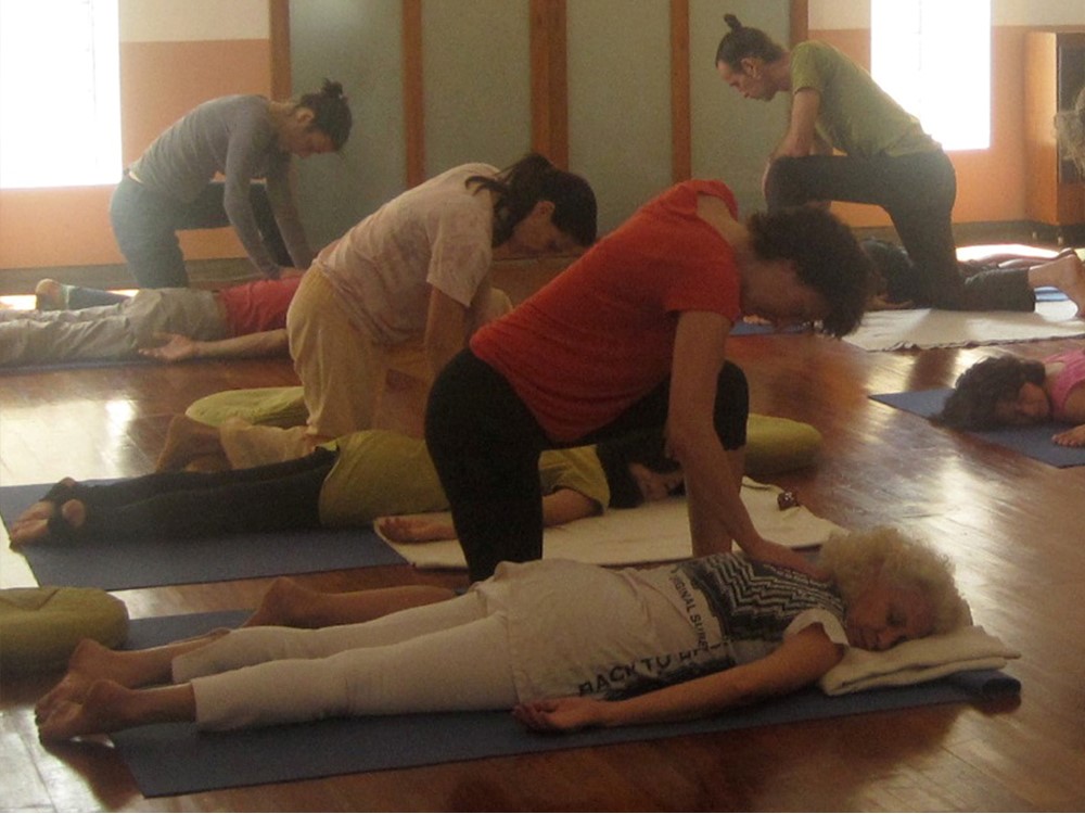 shiatsu-group-1000-02-custom shiatsu-group-1000-02-custom
