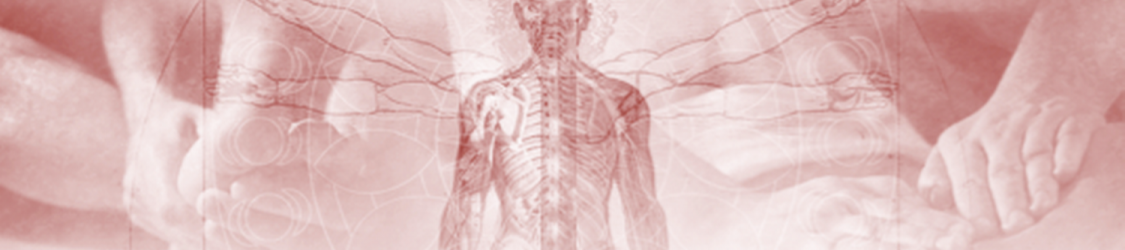 holistic-rebalancing-1 holistic-rebalancing-1